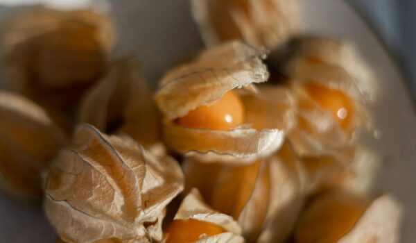 Unveiling the Nutritional Wonders of Cape Gooseberries